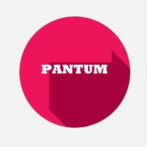 Toner Pantum